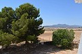 Impressive Town house in small village with Large Bodega and Pool in Real Estate Alicante