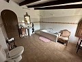 2 Landhäuser in Novelda in Real Estate Alicante