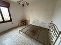 2 Landhäuser in Novelda in Real Estate Alicante