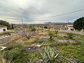 2 Landhäuser in Novelda in Real Estate Alicante