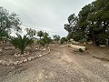 2 Landhäuser in Novelda in Real Estate Alicante