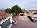 2 Landhäuser in Novelda in Real Estate Alicante