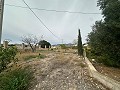 2 Landhäuser in Novelda in Real Estate Alicante