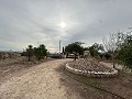 2 Landhäuser in Novelda in Real Estate Alicante