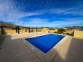 Incredible villa with pool in Pinoso in Real Estate Alicante