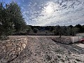 Incredible villa with pool in Pinoso in Real Estate Alicante