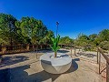 Beeindruckende Villa mit 9 Schlafzimmern in Biar in Real Estate Alicante