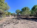 Beeindruckende Villa mit 9 Schlafzimmern in Biar in Real Estate Alicante