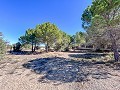 Beeindruckende Villa mit 9 Schlafzimmern in Biar in Real Estate Alicante