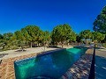 Beeindruckende Villa mit 9 Schlafzimmern in Biar in Real Estate Alicante