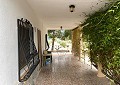 Villa de 3 habitaciones y 1 baño en excelente ubicación con piscina y casa de huéspedes de 2 pisos en Sax in Real Estate Alicante