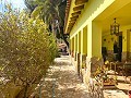 Villa with 3 Beds & 2 Bathrooms Walk to town in Novelda in Real Estate Alicante