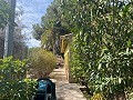 Villa with 3 Beds & 2 Bathrooms Walk to town in Novelda in Real Estate Alicante