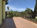 Villa with 3 Beds & 2 Bathrooms Walk to town in Novelda in Real Estate Alicante