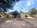 Villa with 3 Beds & 2 Bathrooms Walk to town in Novelda in Real Estate Alicante