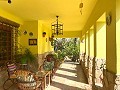 Villa with 3 Beds & 2 Bathrooms Walk to town in Novelda in Real Estate Alicante