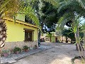 Villa with 3 Beds & 2 Bathrooms Walk to town in Novelda in Real Estate Alicante