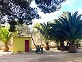 Villa with 3 Beds & 2 Bathrooms Walk to town in Novelda in Real Estate Alicante