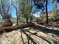 Casa de campo para reformar en Jumilla in Real Estate Alicante