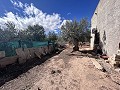 Casa de campo para reformar en Jumilla in Real Estate Alicante