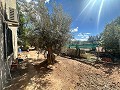 Casa de campo para reformar en Jumilla in Real Estate Alicante