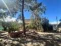 Casa de campo para reformar en Jumilla in Real Estate Alicante