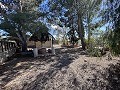 Casa de campo para reformar en Jumilla in Real Estate Alicante