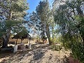 Casa de campo para reformar en Jumilla in Real Estate Alicante