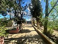 Casa de campo para reformar en Jumilla in Real Estate Alicante