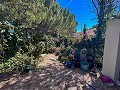 Geräumiges Landhaus mit 8 Zimmern zum Renovieren in Yecla in Real Estate Alicante
