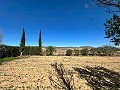 Geräumiges Landhaus mit 8 Zimmern zum Renovieren in Yecla in Real Estate Alicante