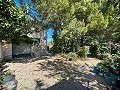 Geräumiges Landhaus mit 8 Zimmern zum Renovieren in Yecla in Real Estate Alicante