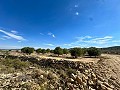 Huge building plots with incredible views in Yecla in Real Estate Alicante
