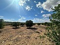 Huge building plots with incredible views in Yecla in Real Estate Alicante