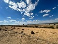 Huge building plots with incredible views in Yecla in Real Estate Alicante