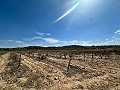 Huge building plots with incredible views in Yecla in Real Estate Alicante