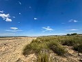 Huge building plots with incredible views in Yecla in Real Estate Alicante