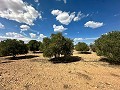 Huge building plots with incredible views in Yecla in Real Estate Alicante