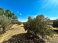 Huge building plots with incredible views in Yecla in Real Estate Alicante