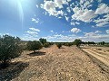 Huge building plots with incredible views in Yecla in Real Estate Alicante
