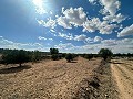 Huge building plots with incredible views in Yecla in Real Estate Alicante