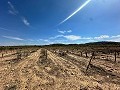 Huge building plots with incredible views in Yecla in Real Estate Alicante