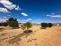 Huge building plots with incredible views in Yecla in Real Estate Alicante