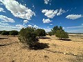 Huge building plots with incredible views in Yecla in Real Estate Alicante