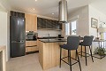 Villa en Pinoso - Obra nueva in Real Estate Alicante