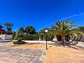 Mansion between Monóvar and Novelda in Real Estate Alicante