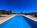 Mansion between Monóvar and Novelda in Real Estate Alicante