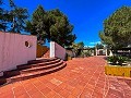 Mansion between Monóvar and Novelda in Real Estate Alicante