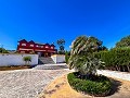 Mansion between Monóvar and Novelda in Real Estate Alicante