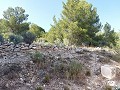Maison de campagne partiellement réformée avec 4 chambres et 1 salle de bain in Real Estate Alicante